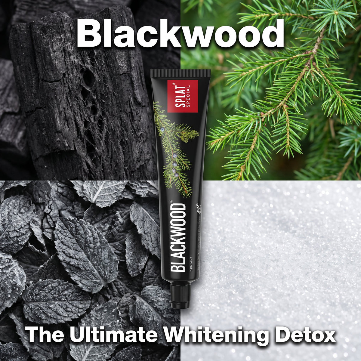 Blackwood