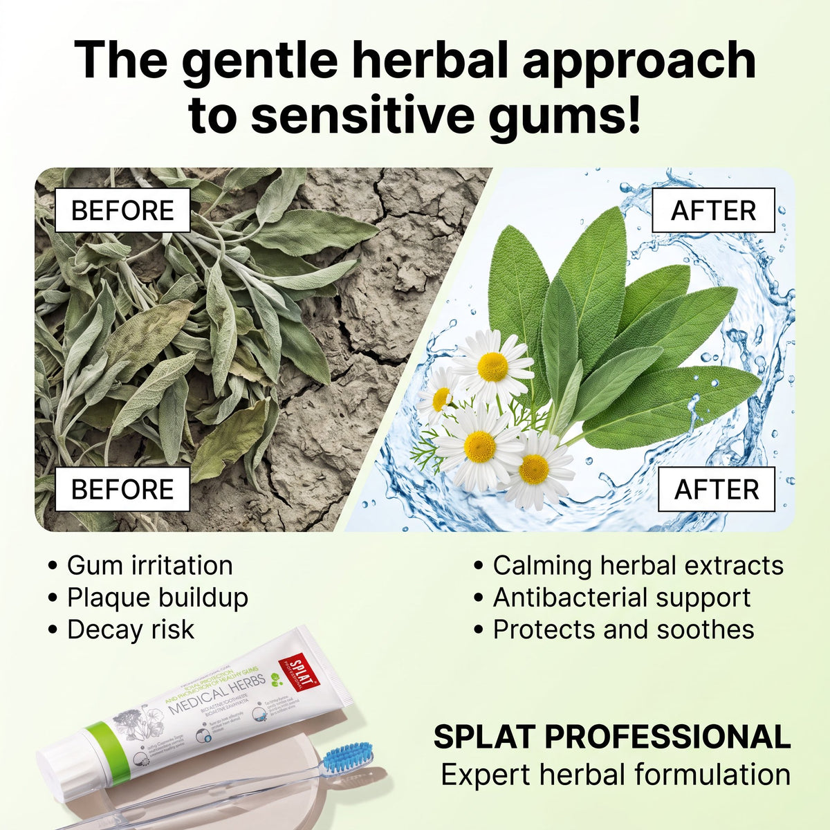 Medical Herbs